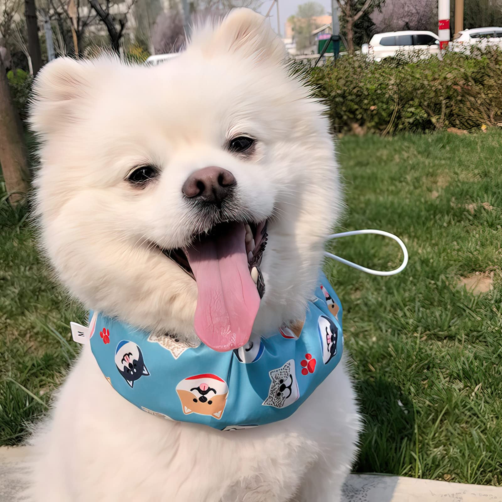 KUDES Cooling Dog Bandana Collar with Reusable Ice Packs - Adjustable Pet Neck Cooler Wrap for Small Medium Large Dogs & Cats - Summer Heat Relief Accessory (Blue, Medium) - Perfect for Outdoor Walks, Beach Trips & Hot Weather Playtime