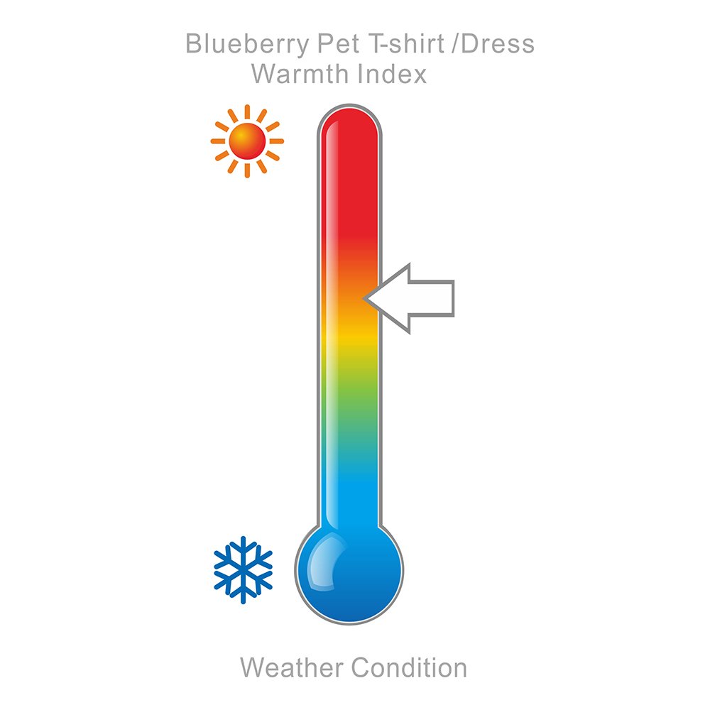 Blueberry Pet Dog T-Shirt - Peter Pan Collar Cotton Shirt for Small Dogs, 14