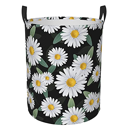 Daisy with Leaves