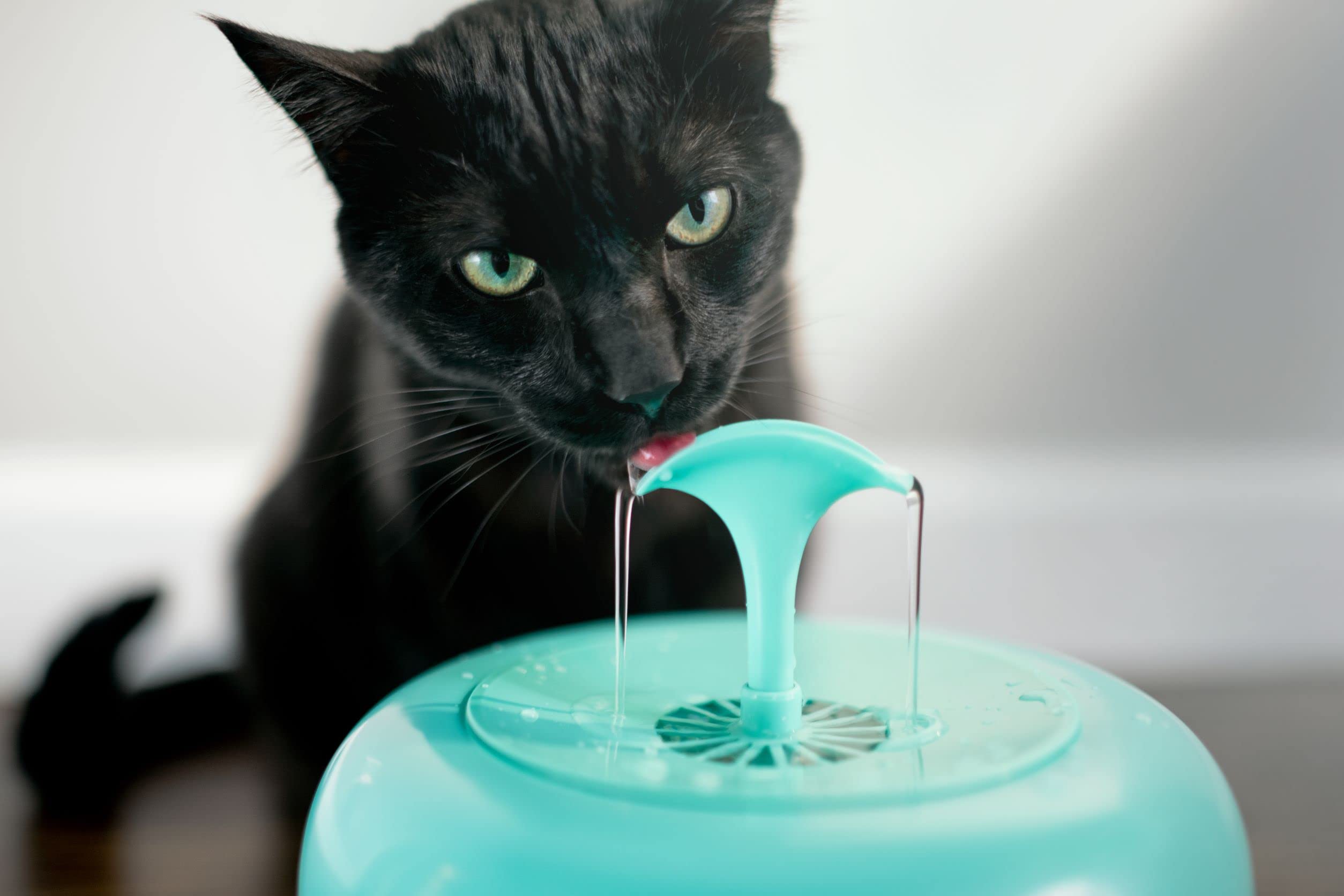 PURRoducts Premium Cat Water Fountain with 5-Layer Filter - Splash-Free, Tip-Proof Design for Cats & Small Dogs | 2-Month Filter Life | Low Water Auto Shut-Off | Perfect for Home, Office & Pet Travel Use