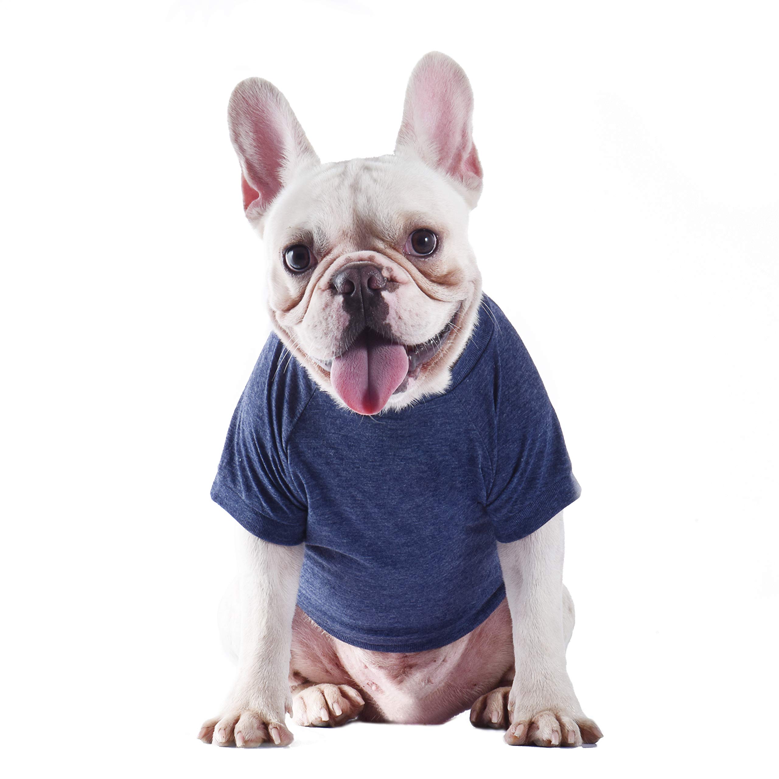 Star Wars Yoda Wisdom Dog T-Shirt for Large Dogs - Soft, Cute & Comfortable Pet Apparel | Perfect for Cosplay, Halloween Costumes & Everyday Wear