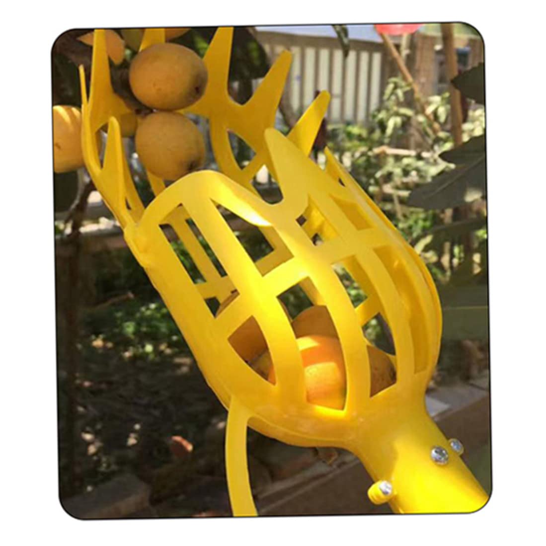 4PCS Lightweight Telescopic Fruit Picker Set - Extendable Fruit Harvesting Tool for Apples, Peaches, Lychee & Berries | Perfect for Home Garden, Orchard Harvesting & Farm Fruit Collection