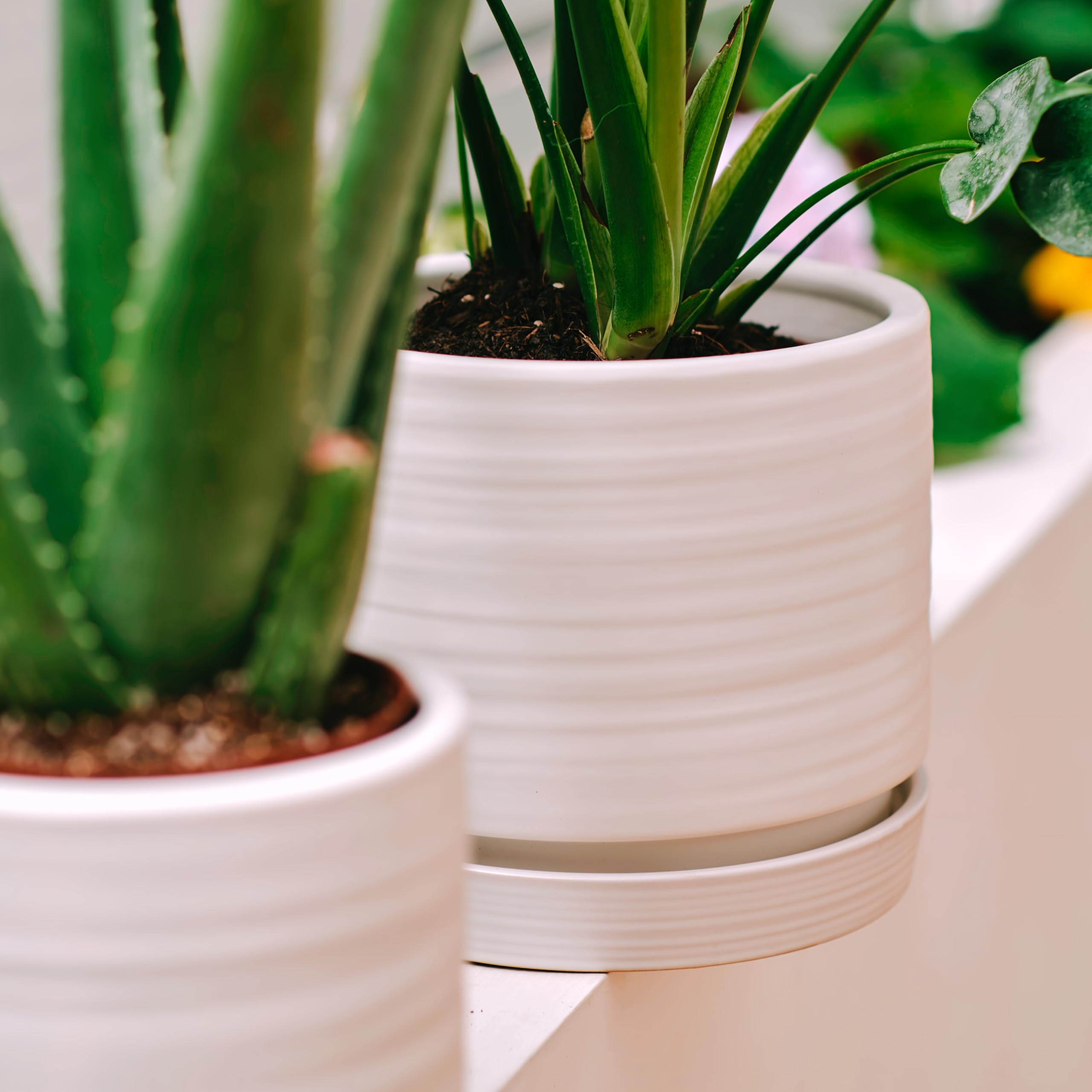 8 Inch Ceramic Plant Pots with Drainage Hole & Saucer - Indoor/Outdoor Cylinder Planter for Succulents, Herbs, Flowers - Modern Matte White Round Flower Pot for Home, Office, Garden Decor