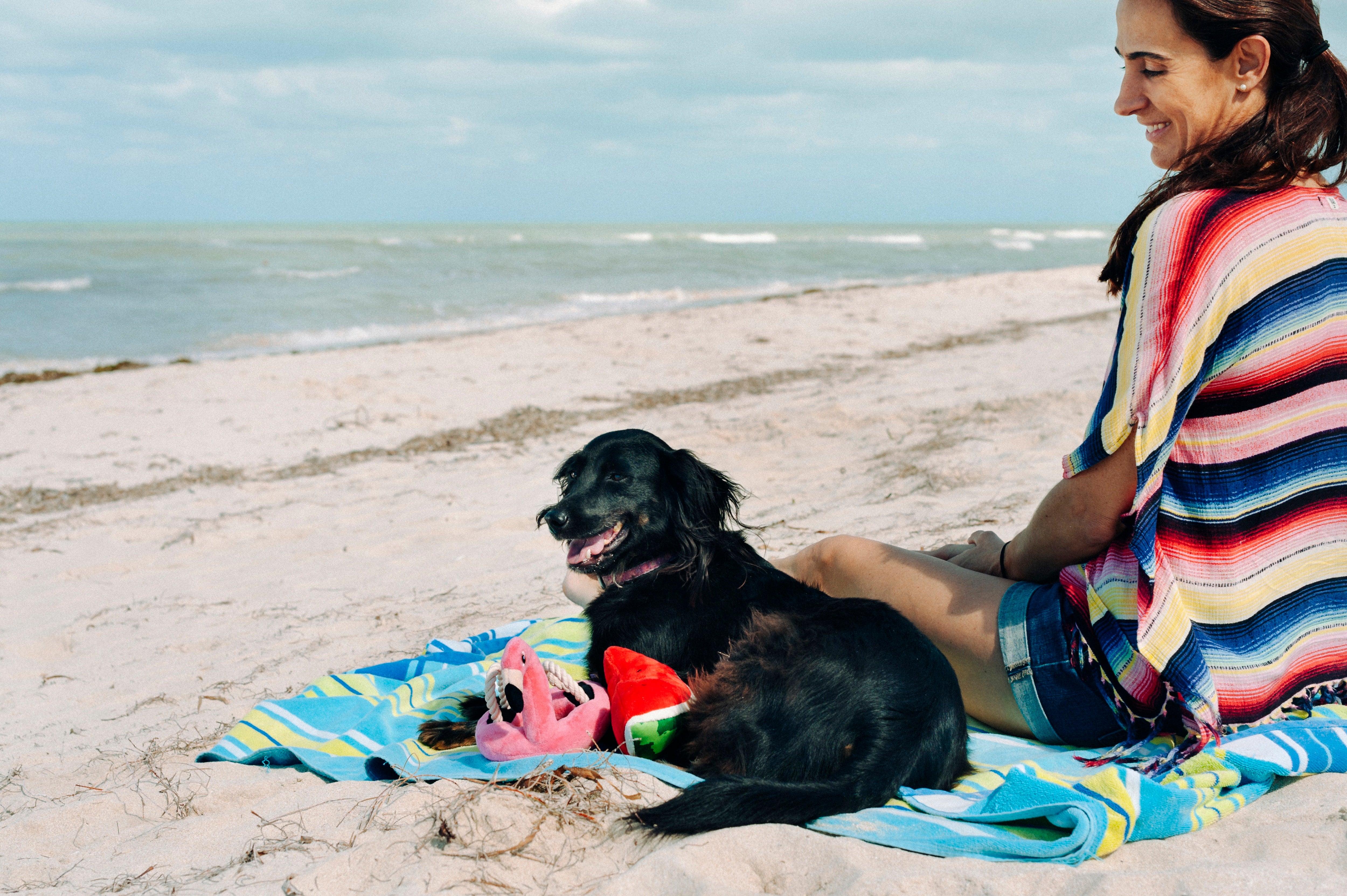 Tropical Paradise™ Watermelon Dog Plush Toy - Durable & Fun Chew Toy for Small & Large Dogs | Perfect for Playtime, Training & Cuddling | Pet P.L.A.Y.