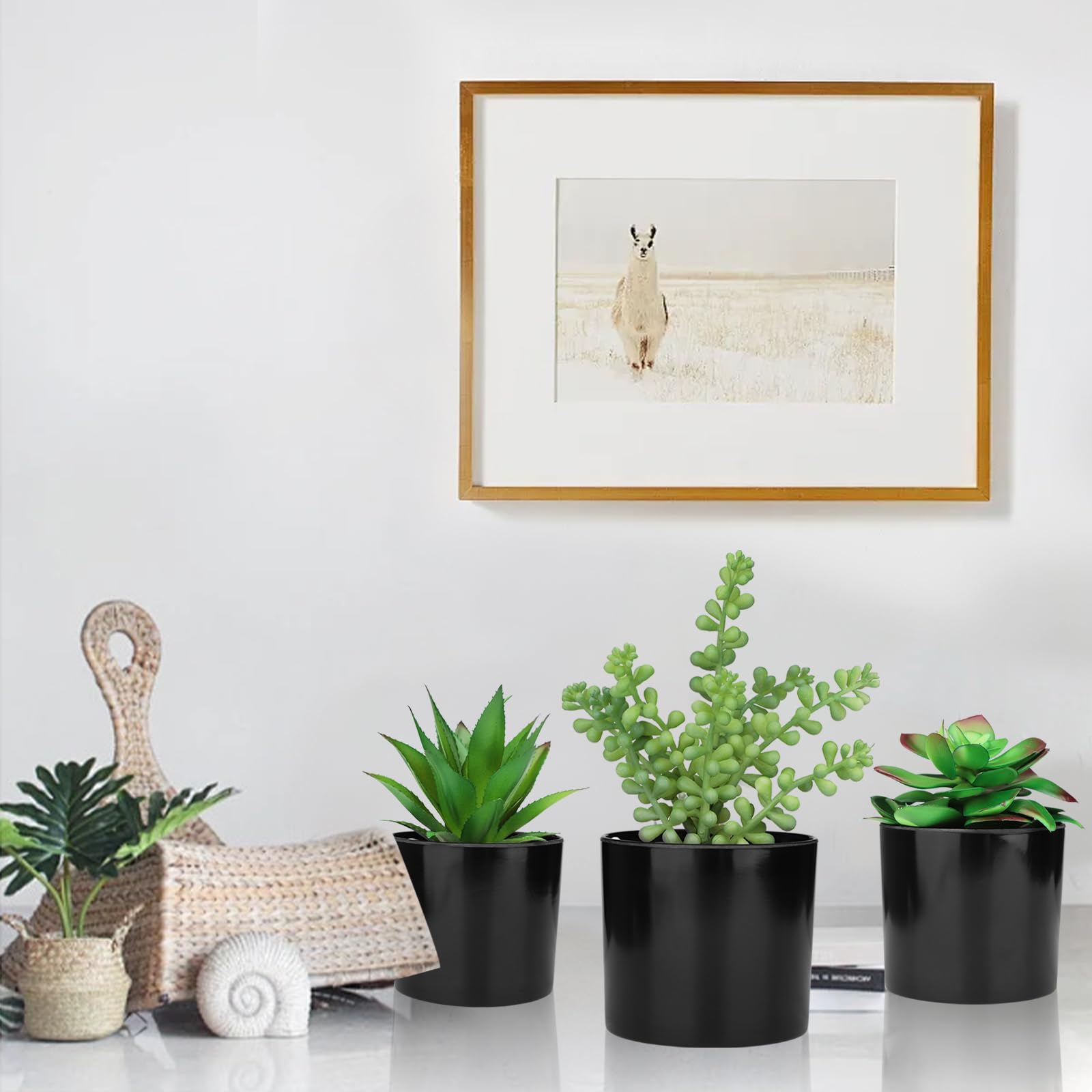 Hopewood Artificial Succulents - Set of 3 Realistic Faux Potted Plants in Black Pots for Home & Office Decor | Perfect for Bookshelves, Desks, Kitchen, Bathroom & Indoor Spaces