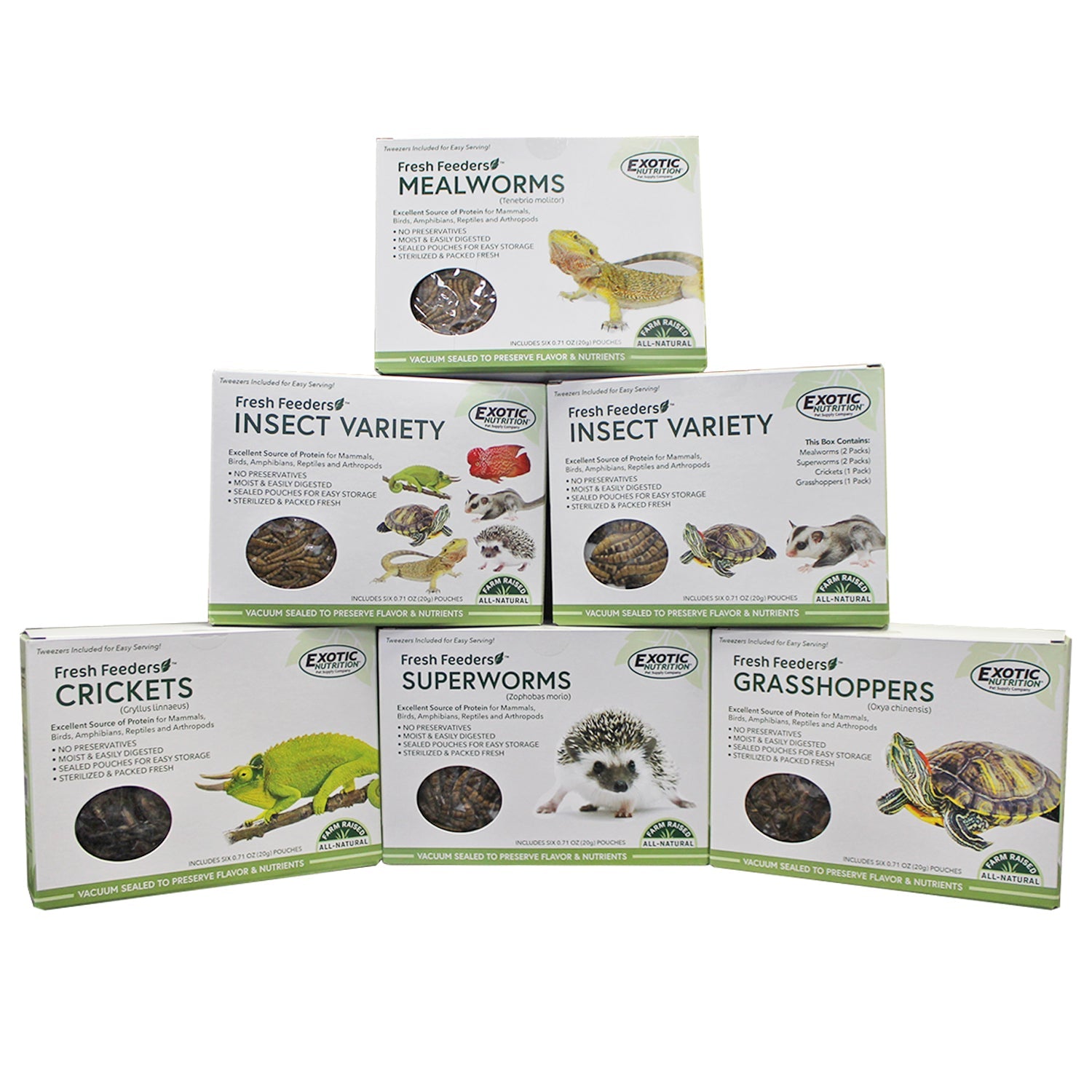 Fresh Feeders for Small Pets - Durable & Easy-to-Clean Food & Water Bowls for Hamsters, Rabbits, Guinea Pigs - Perfect for Cages, Hutches & Play Areas