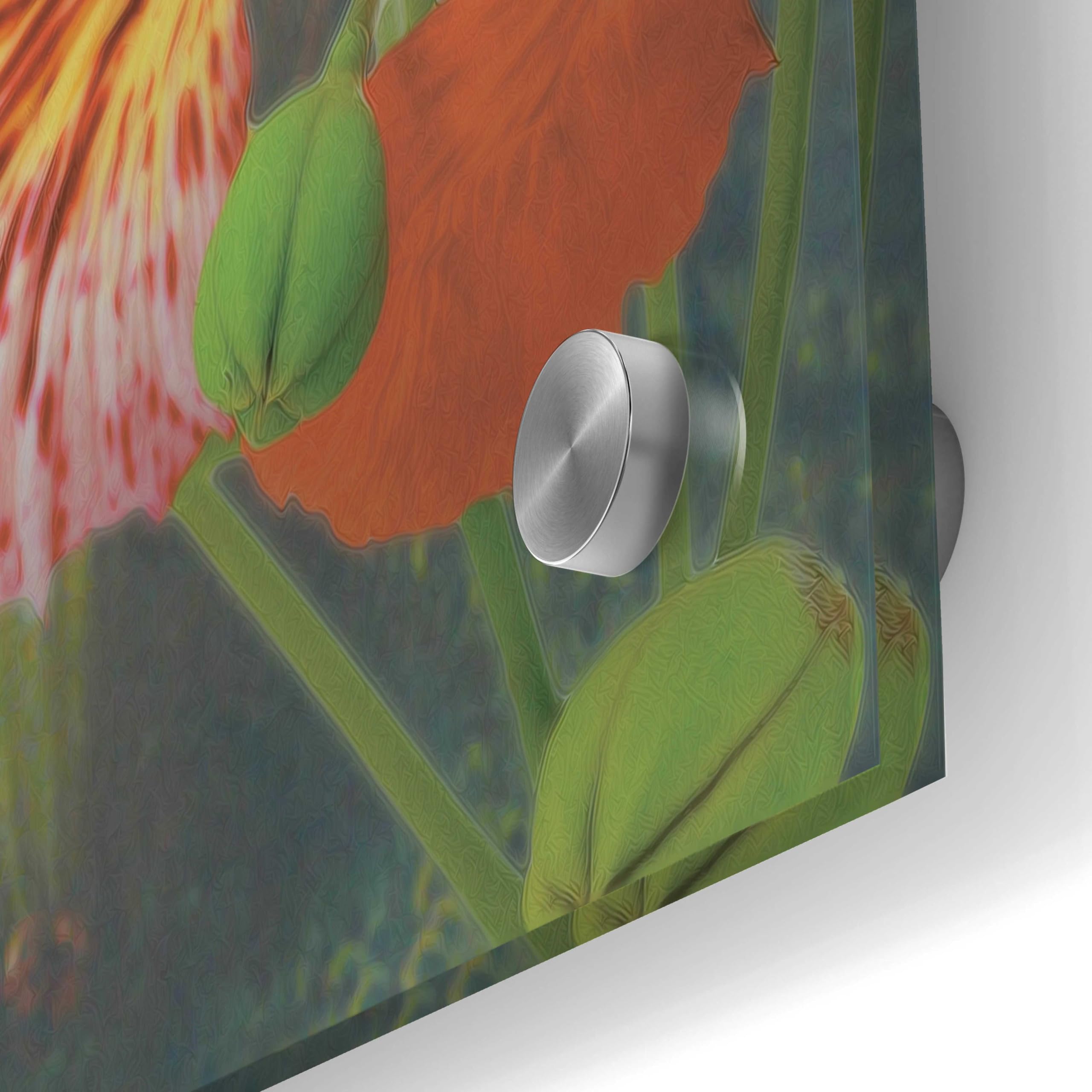 Epic Art 'Hummingbird Cycle II' by Steve Hunziker - Vibrant Acrylic Glass Wall Art 24x36 Inches - Modern Home Decor for Living Room, Bedroom & Office