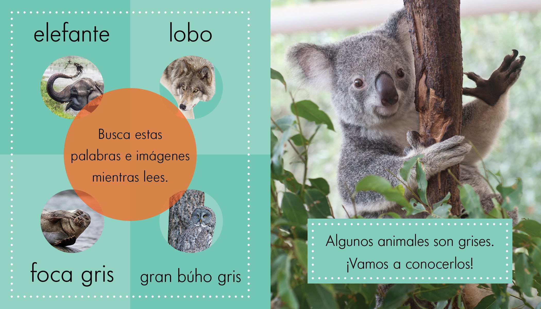 Grey Animal Plush Toys - Soft Stuffed Animals for Kids, Home Decor & Gifts | Perfect for Nursery, Bedroom & Playroom