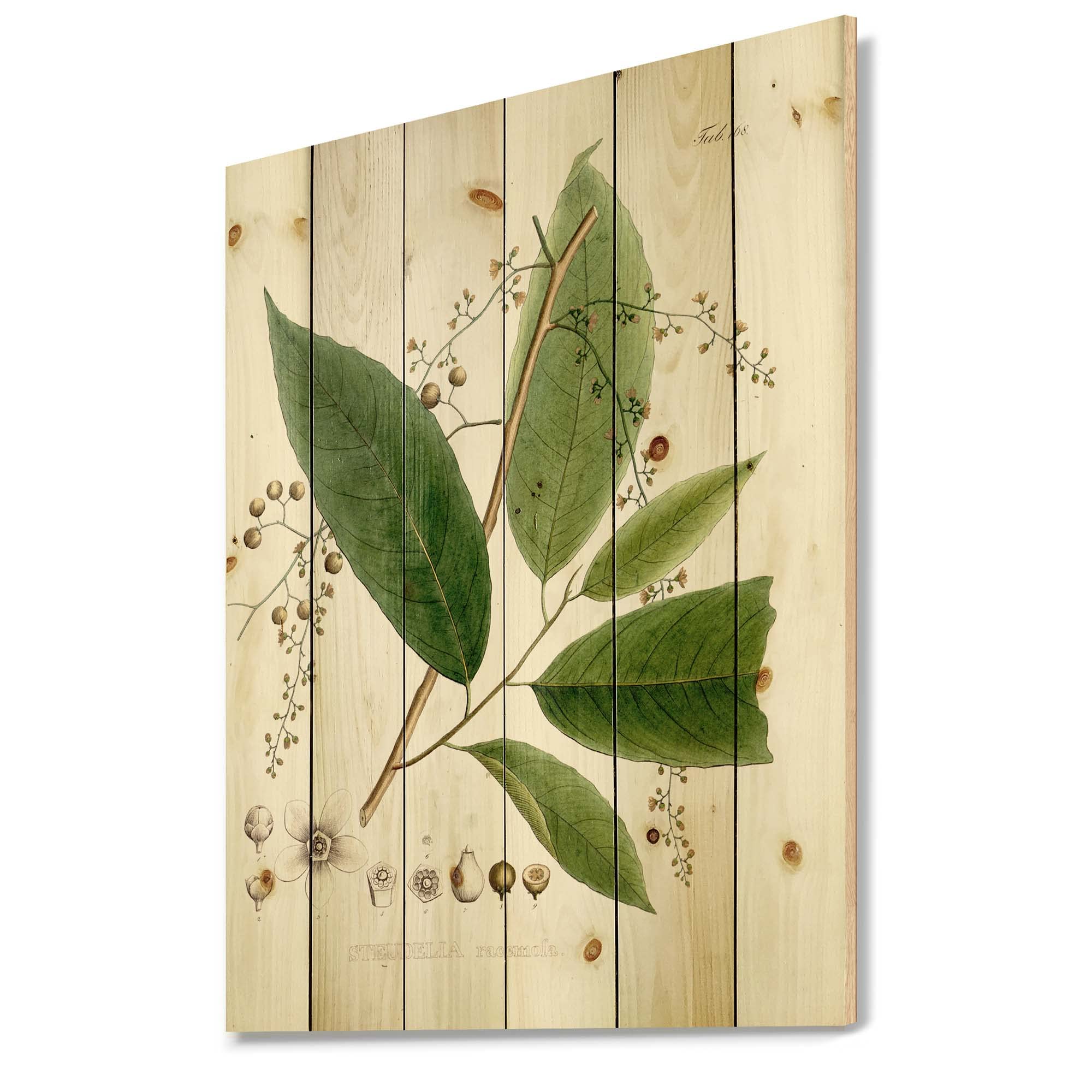 Vintage Brazilian Plant Wood Wall Decor - Traditional Floral Wall Art, Large Green Wood Panels Printed on Natural Pine - Perfect for Living Room, Bedroom, or Office Decoration