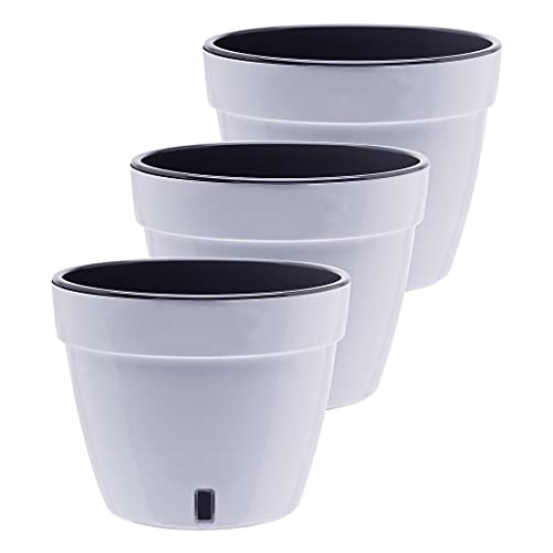 White/Black - Set of 3