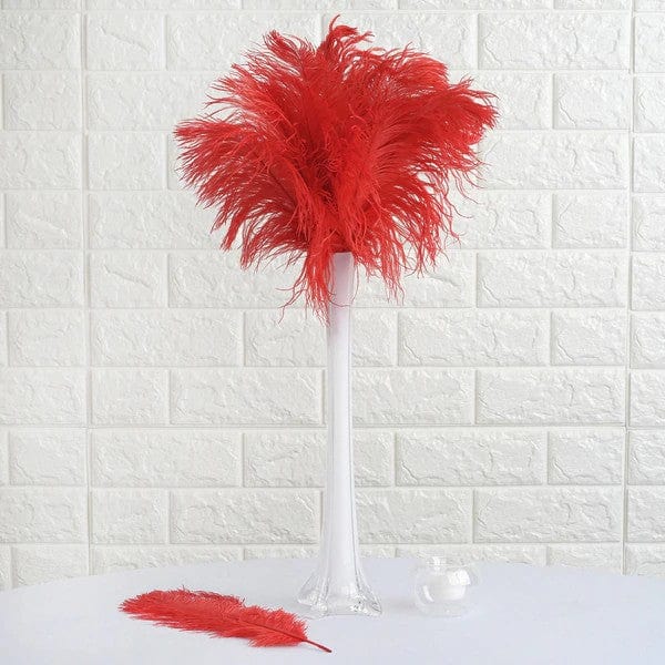 12 Pcs 10-15 Inch Genuine Ostrich Feathers for DIY Crafts, Wedding Decorations, and Costume Accessories