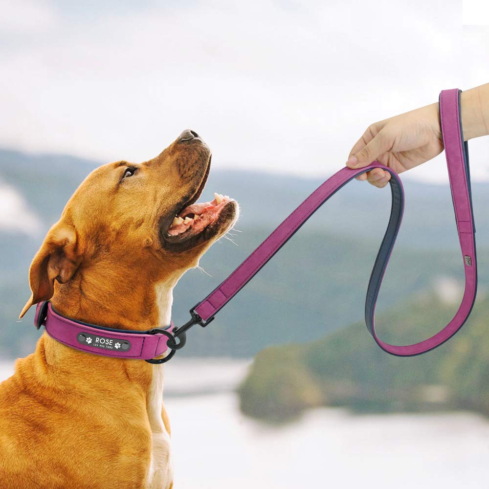 Premium Padded Leather Dog Leash for Small, Medium & Large Dogs - Comfortable & Durable 3/4