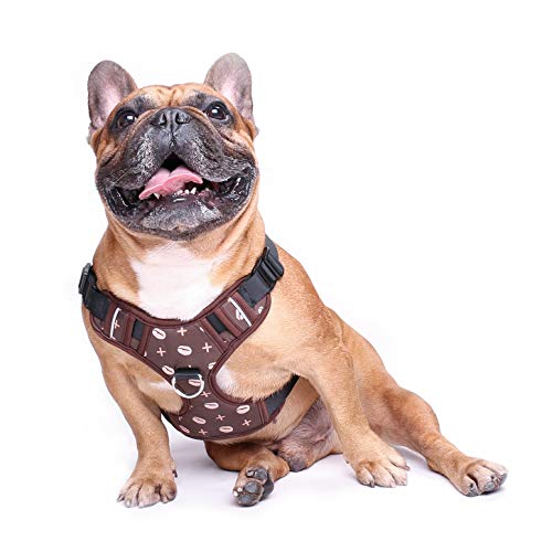Coffee Bean Vest Harness