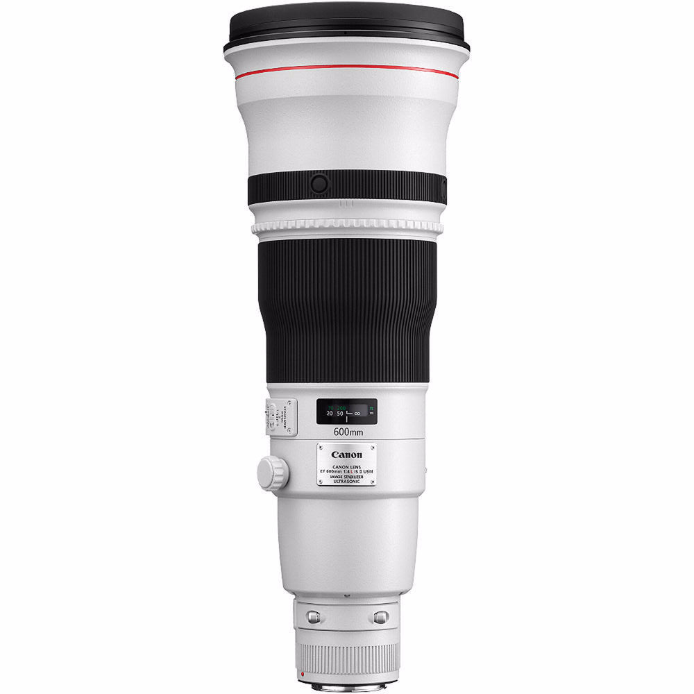 Canon EF 600mm f/4L IS II USM Telephoto Lens for Wildlife & Sports Photography - Professional DSLR Camera Lens with Image Stabilization