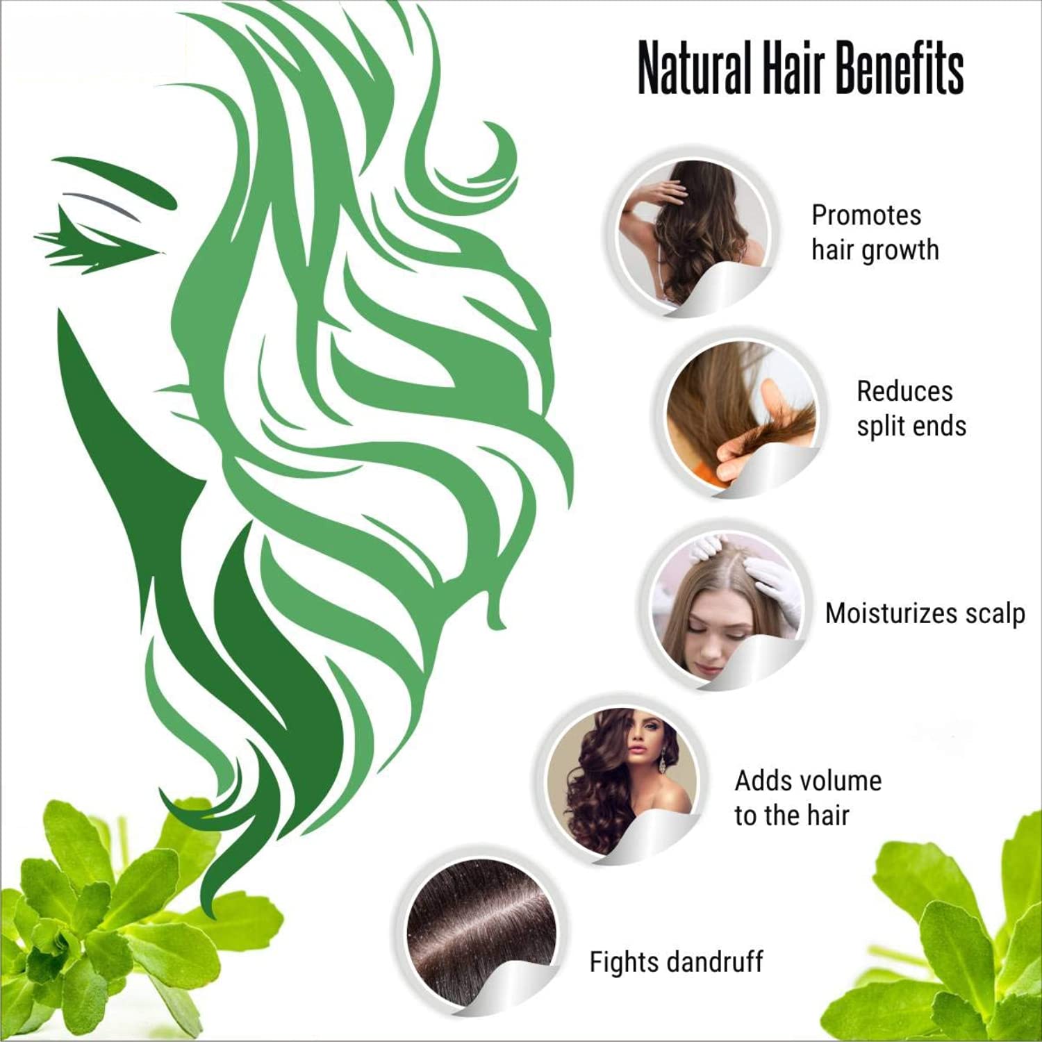 Oilanic 100% Pure & Natural Brahmi Powder for Skin & Hair Care - 3 Pack (300g) | Ayurvedic Herbal Supplement for Hair Growth, Scalp Health & Glowing Skin - Perfect for DIY Face Masks & Hair Treatments