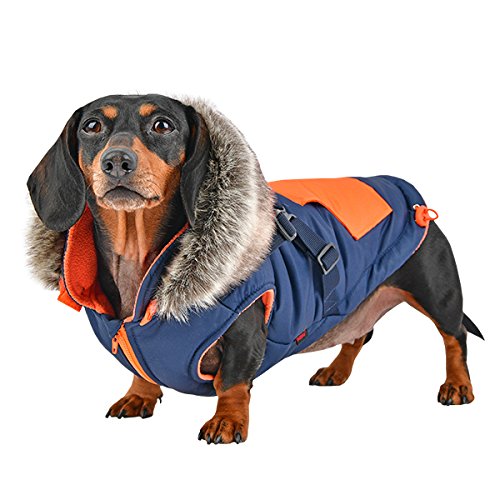 Puppia Orson Dog Coat for Small to Medium Dogs - Navy Blue, Size L - Warm & Waterproof Winter Jacket for Outdoor Walks and Cold Weather Protection