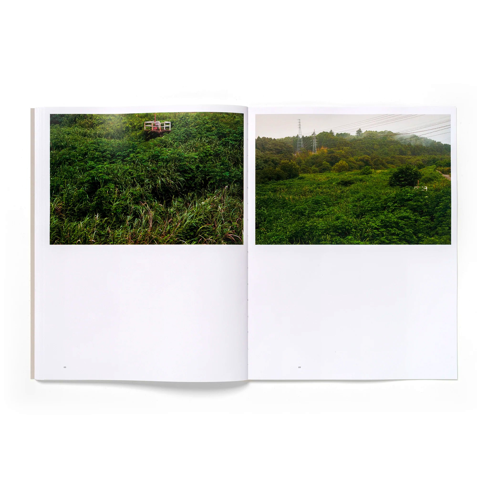 Sam Doctor: Temporal Terrains Softcover Book - Perfect for Art Lovers, Collectors & Home Decor