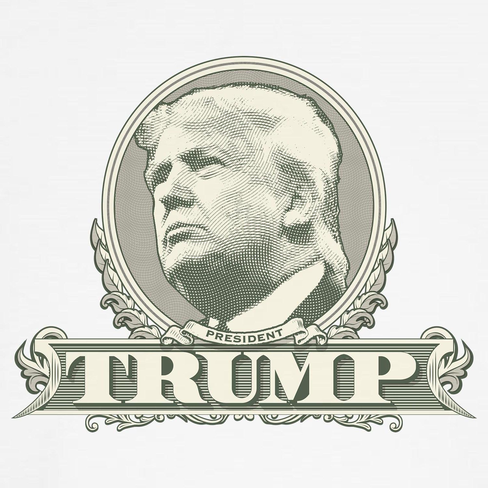 Donald Trump Dollar Bill Framed Classic Thong Underwear for Women - Funny Novelty Panties - Perfect for Costume Parties, Gag Gifts & Political Humor