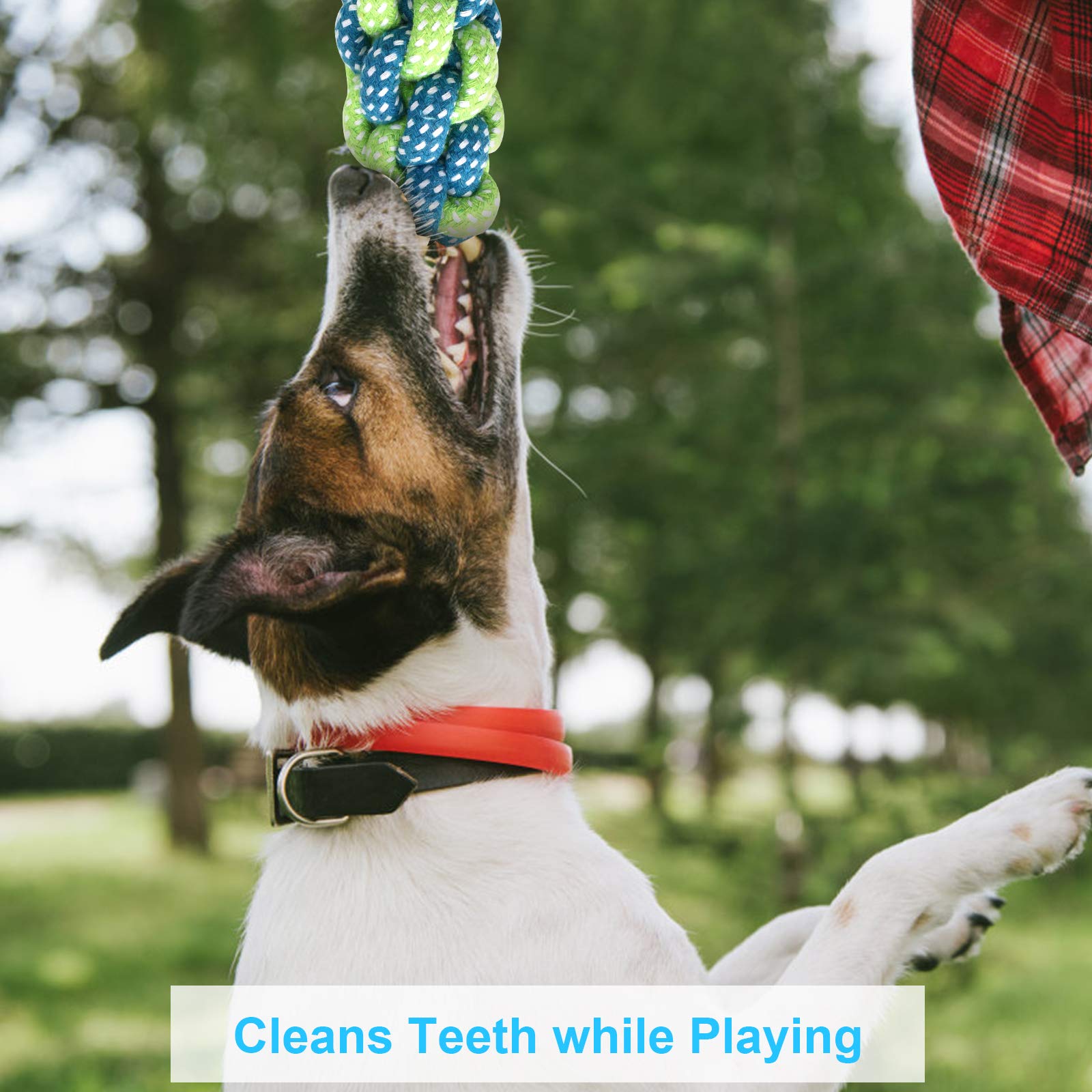 **Depets 4PCs Dog Rope Toy Set - Durable Puppy Chew Toys for Small Dogs & Puppies - Assorted Rope Knot Toys for Teething & Playtime - Perfect for Indoor & Outdoor Fun**