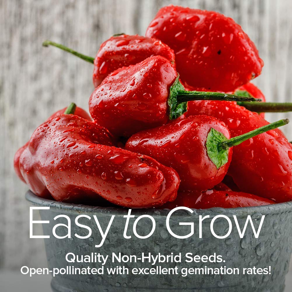 8 Variety Non-GMO Heirloom Pepper Seeds Pack - Jalapeno, Habanero, Bell, Cayenne, Hungarian Hot Wax, Anaheim, Serrano & Cubanelle for Home Gardening - Perfect for Indoor/Outdoor Planting, Vegetable Gardens & Spicy Cooking