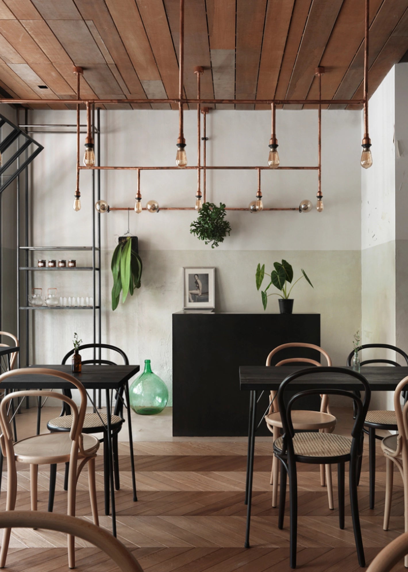 Michael Thonet No. 14 Bentwood Chair by Ton | Classic Cafe & Dining Room Furniture | Perfect for Restaurants, Coffee Shops & Home Decor