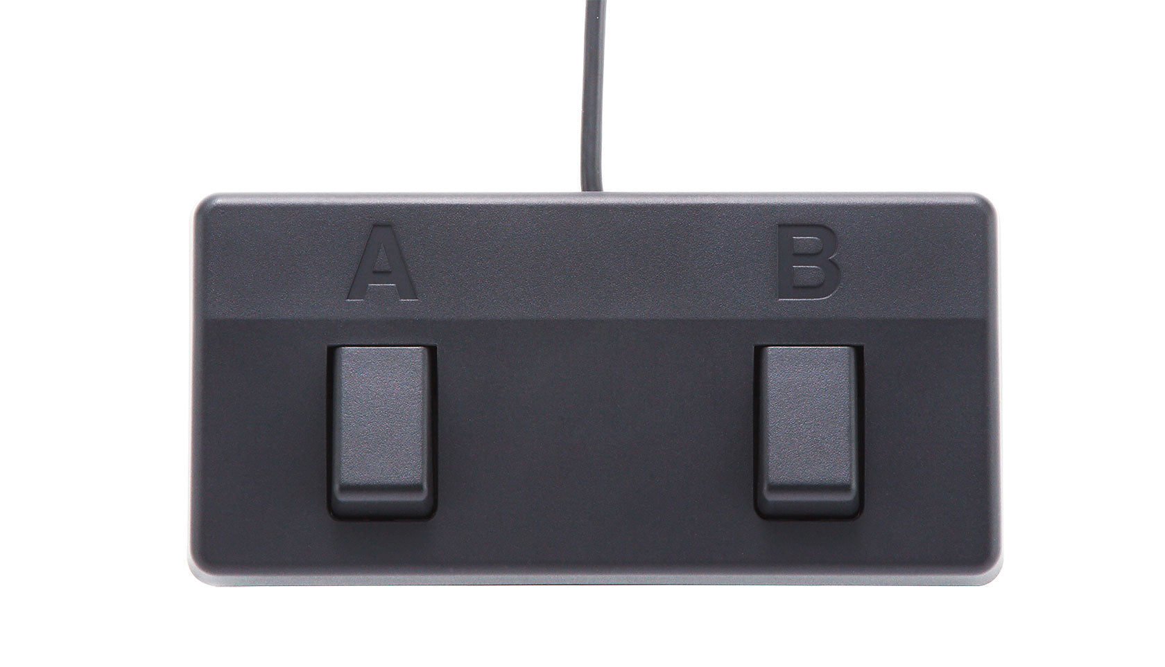 Boss Acoustic Singer Live Acoustic Guitar Amplifier - Portable PA System for Live Performances, Practice & Studio Recording