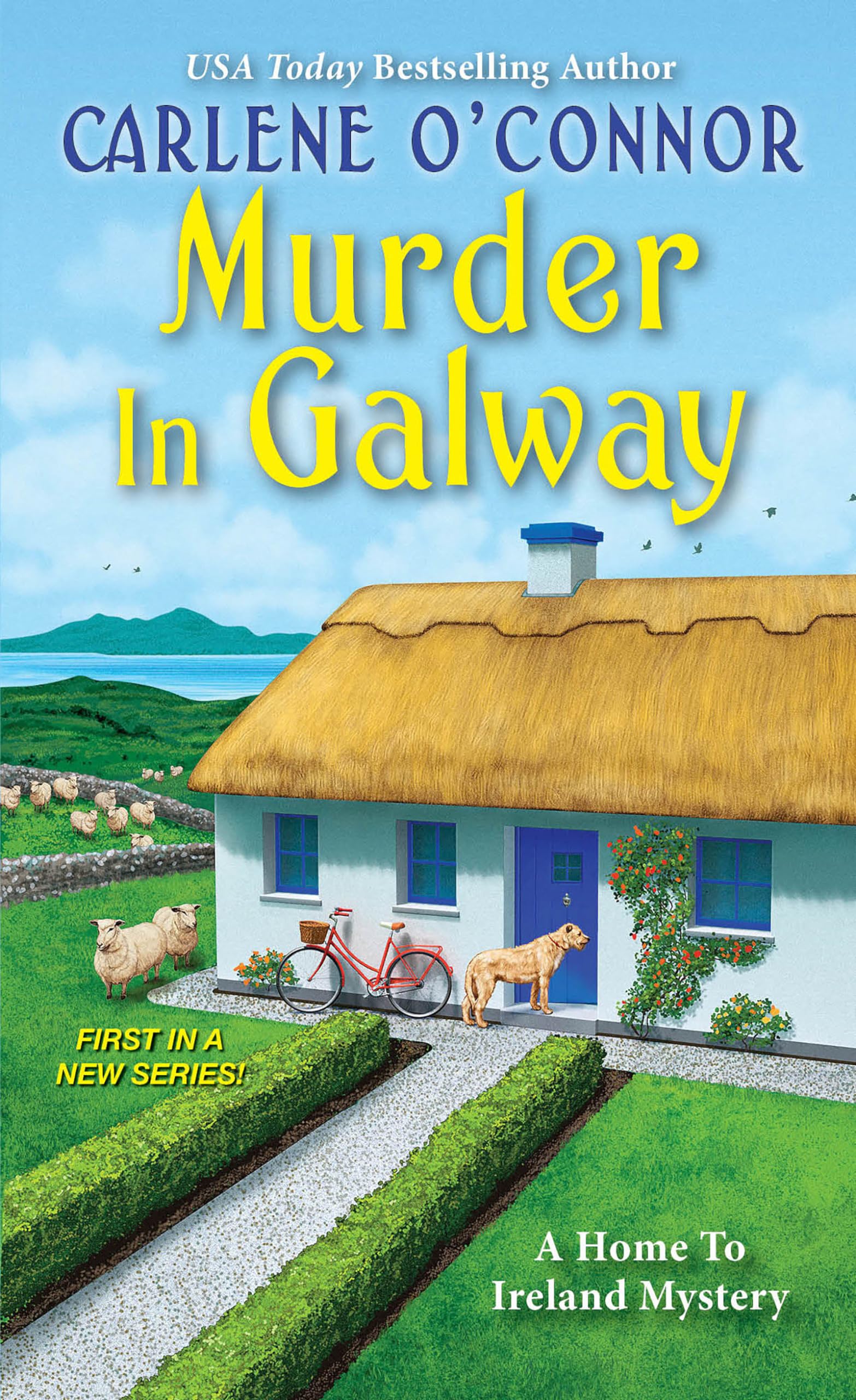 Murder in Galway: A Home to Ireland Mystery Novel - Perfect for Crime Fiction Lovers & Travel Mystery Enthusiasts