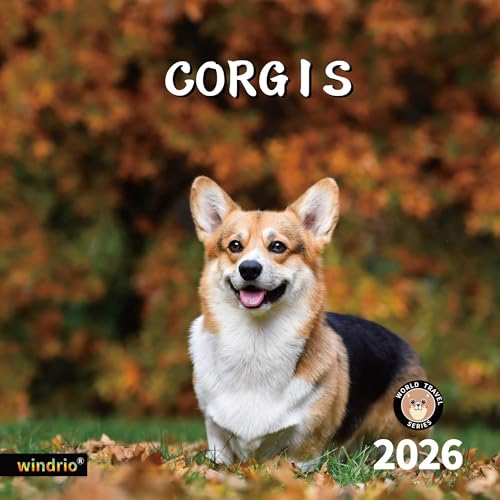 Corgis