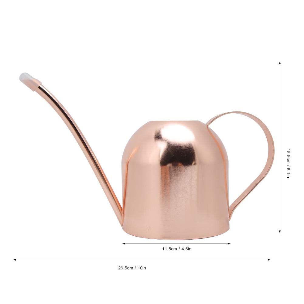 Stainless Steel Watering Can 1000ml - Long Spout Garden Watering Pot for Indoor/Outdoor Plants, Flowers & Herbs | Modern Design Plant Water Container for Balcony, Patio & Home Gardening