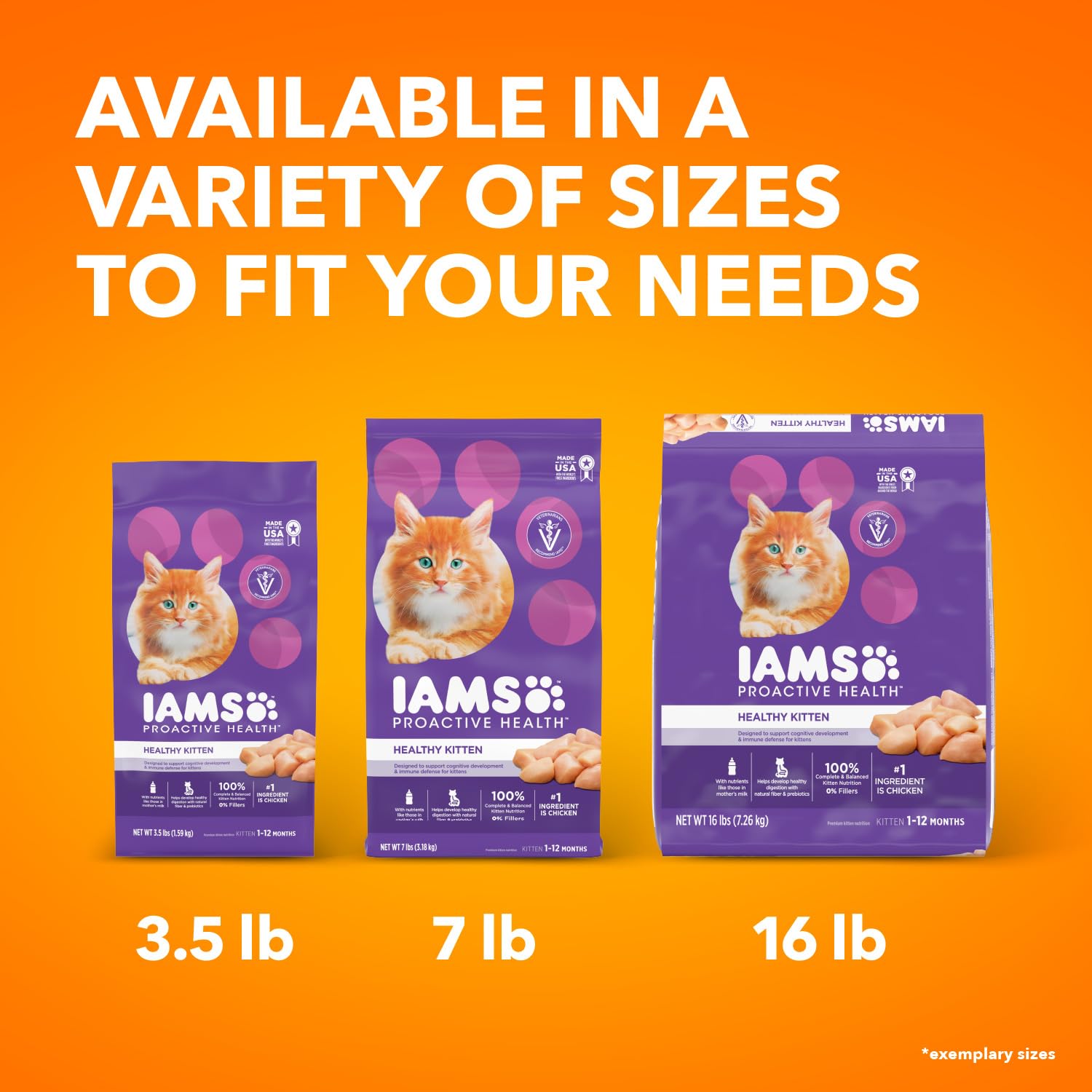 IAMS PROACTIVE HEALTH Dry Cat Food for Kittens - Chicken Recipe, 7 lb Bag - Supports Immune System & Healthy Growth - Perfect for Growing Kittens at Home