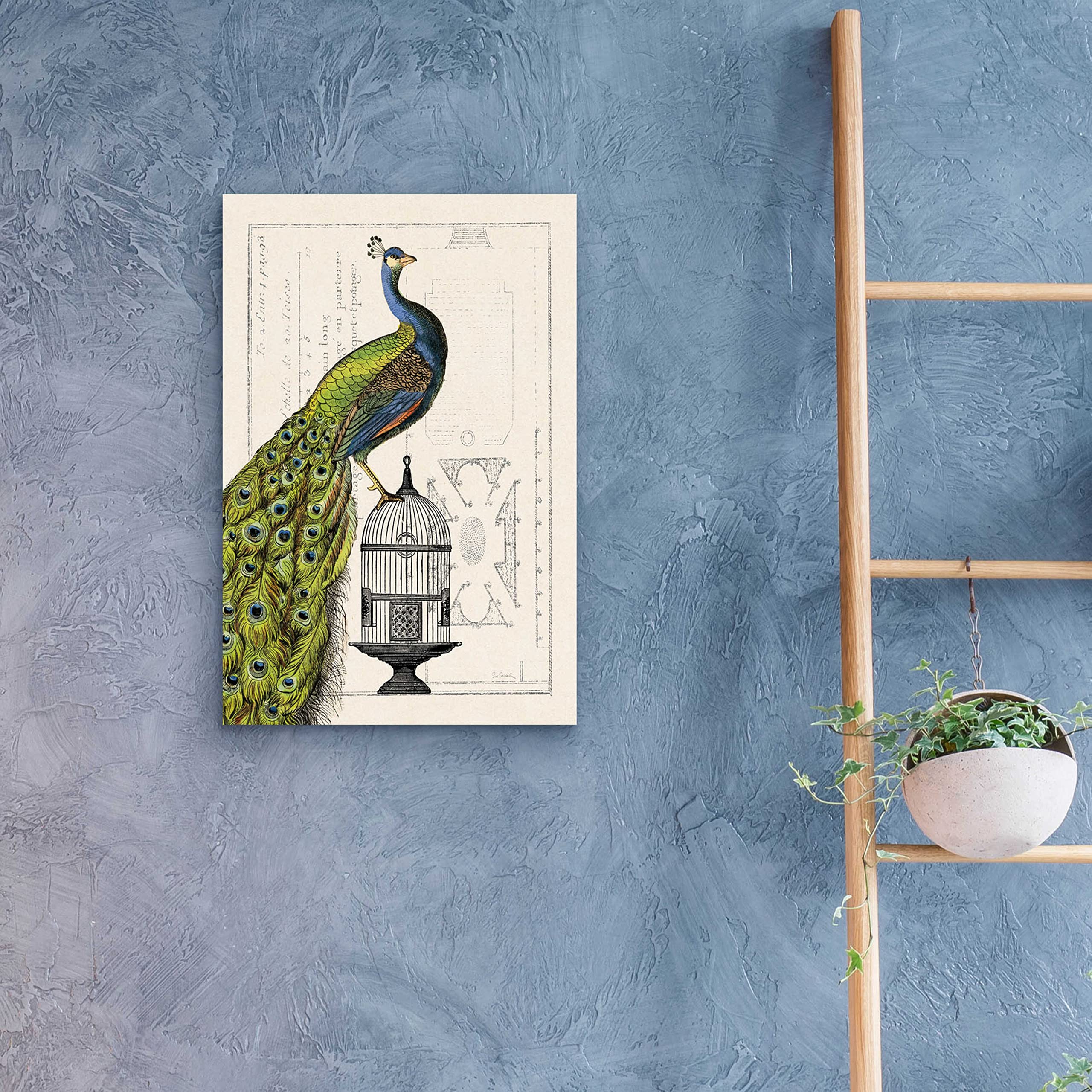 Epic Art 'Peacock Birdcage I' by Sue Schlabach - 16x24 Inch Acrylic Glass Wall Decor, Modern Home & Office Artwork - Perfect for Living Room, Bedroom or Gallery Wall Display
