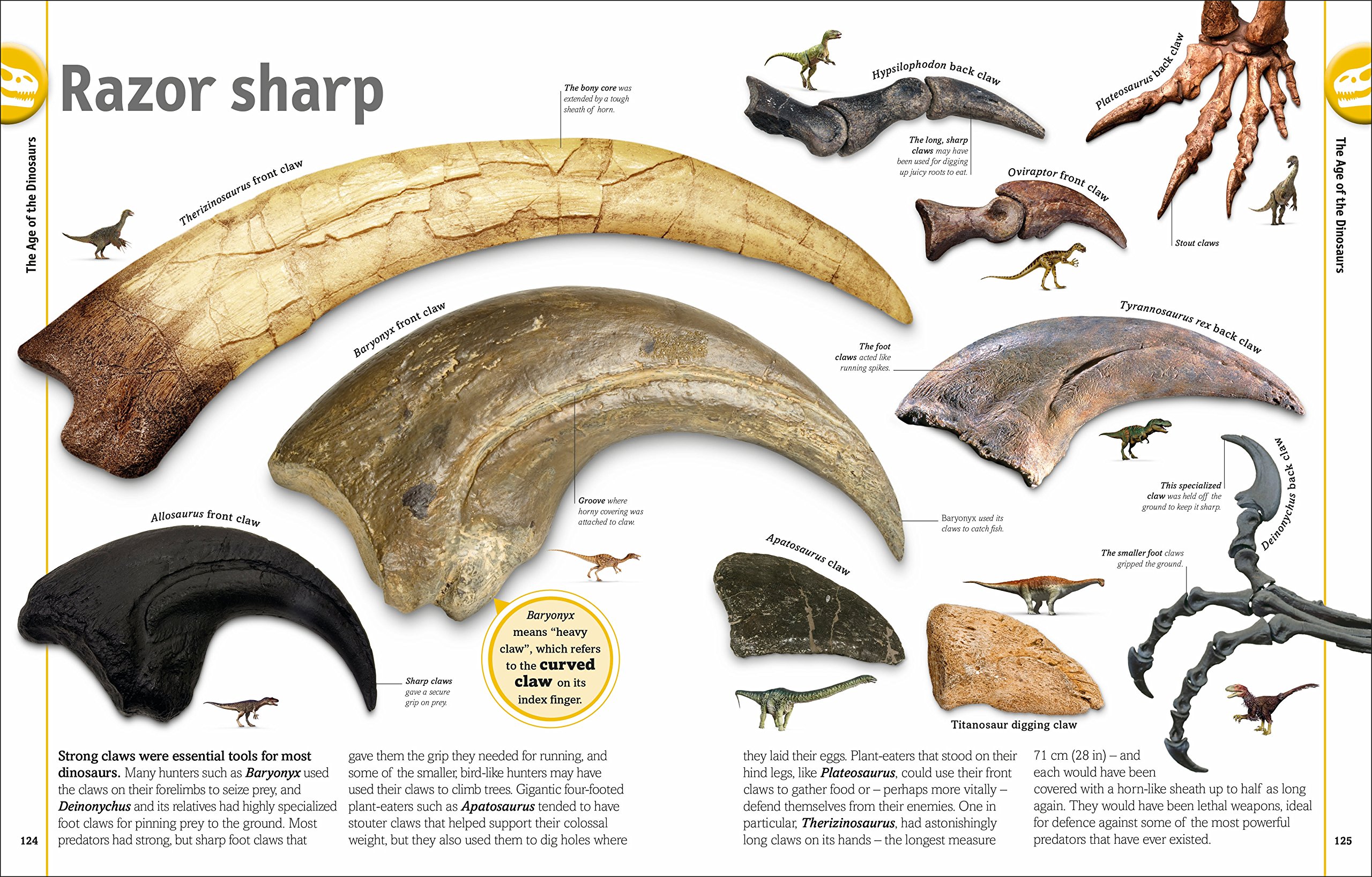 The Dinosaur Book - Educational Kids Book About Dinosaurs for Children | Perfect for Learning, Gifts & Bedtime Reading