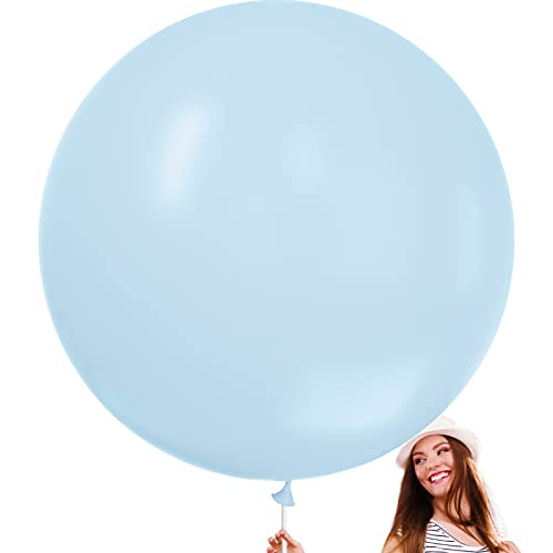 Blue-q13