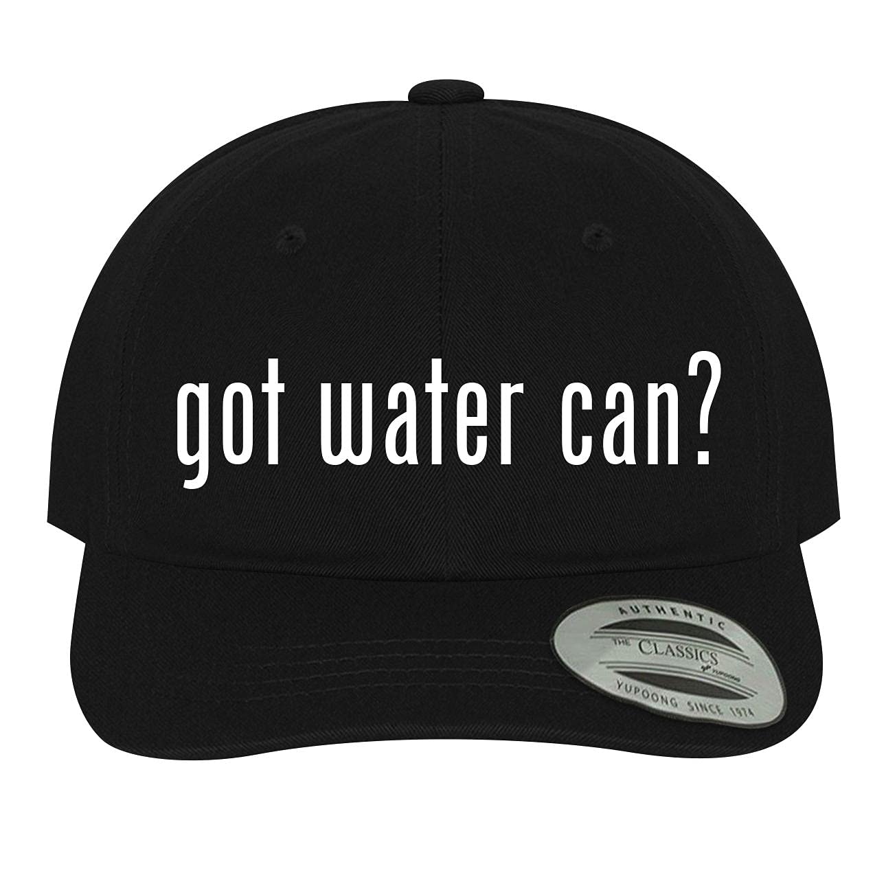 Got Water Can? - Soft Dad Hat Baseball Cap for Men & Women - Comfortable Adjustable Unisex Hat for Outdoor, Hiking, and Casual Wear