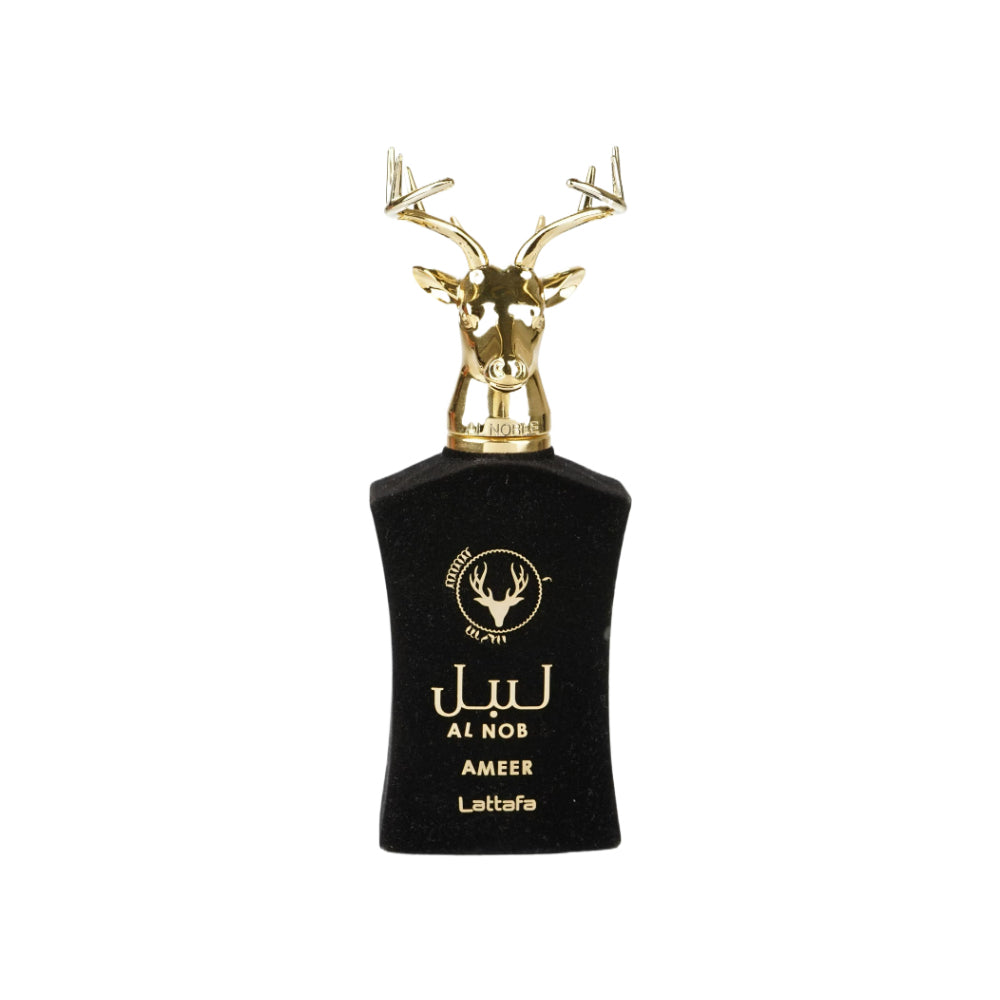 Ameer Eau De Parfum for Men - 100ml Luxury Cologne | Long Lasting Fragrance for Date Night & Special Occasions
