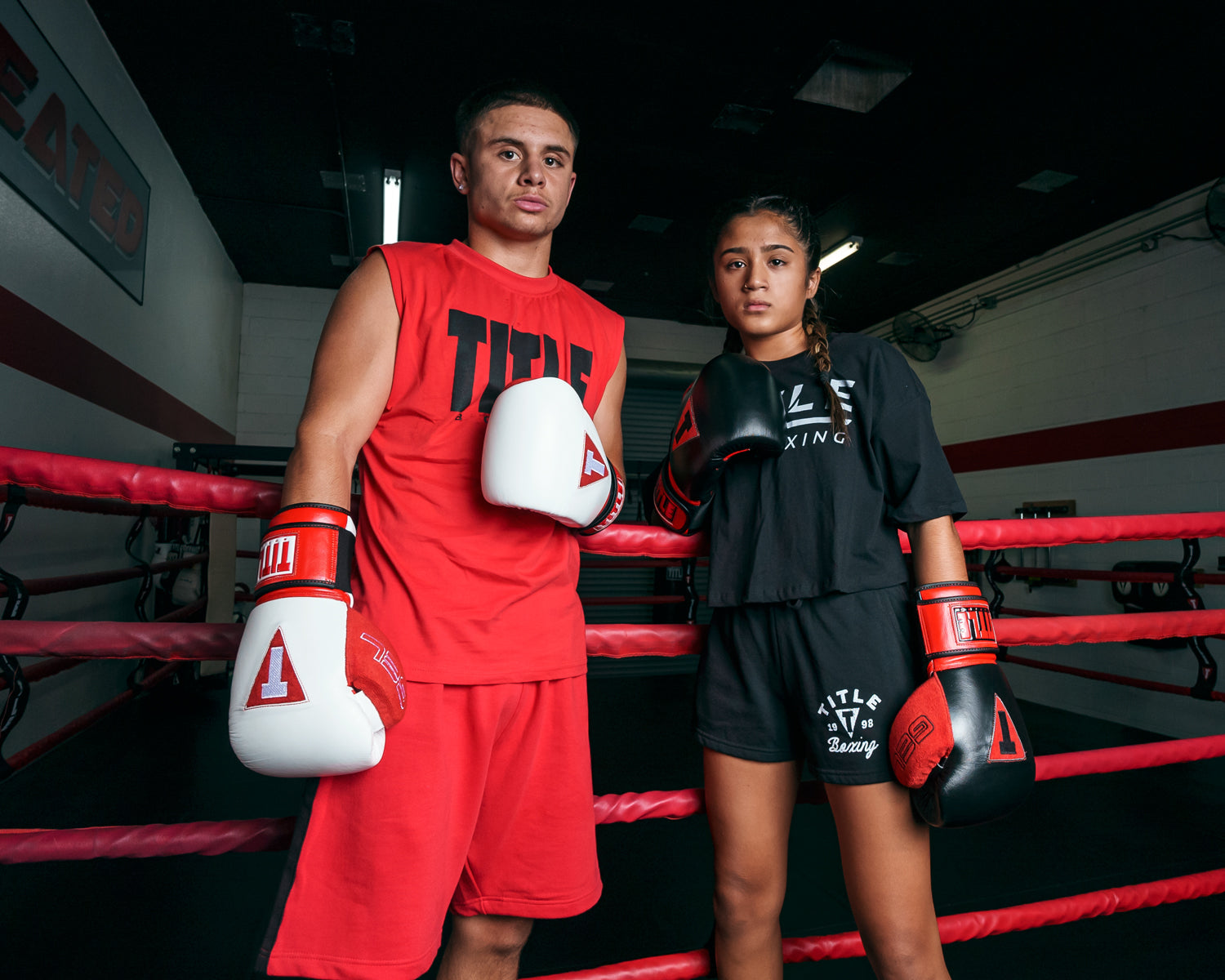 TITLE Boxing All Heart Bag Boxing Gloves 2.0 - Premium Training Gloves for Boxing, MMA & Fitness - Ideal for Heavy Bag Workouts, Sparring & Cardio Training