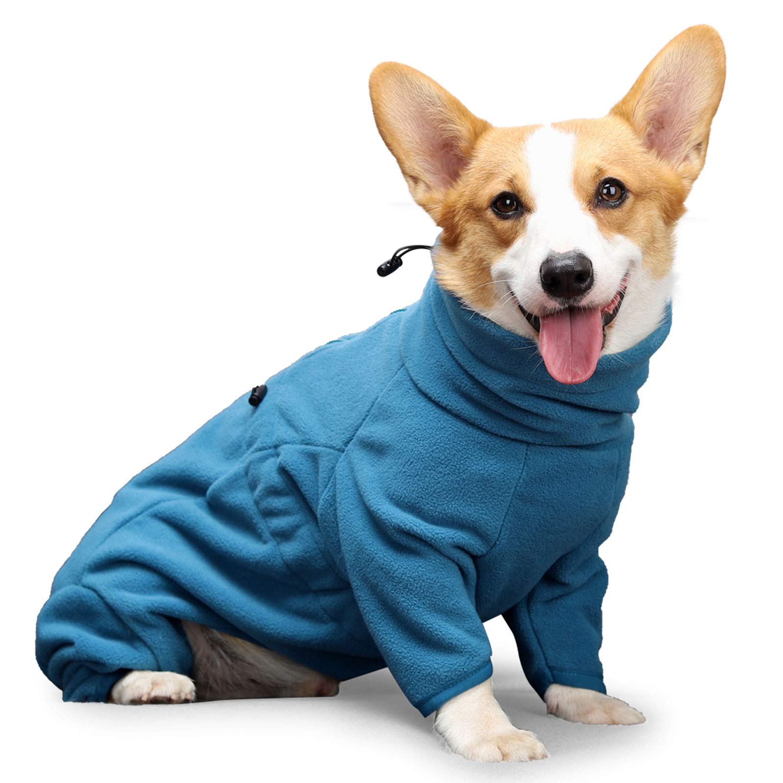 Windproof Dog Winter Coat Vest Jacket - Cold Weather Apparel for Small Medium Large Dogs (XXS, Blue) | Warm & Stylish Pet Clothes for Outdoor Walks & Winter Adventures