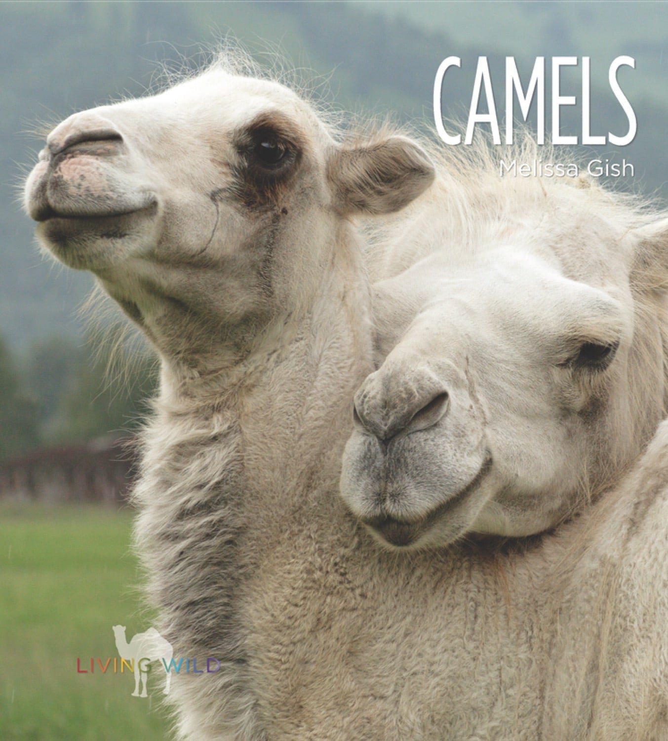 Camels Book 978-1-60818-166-7 - Learn About Desert Animals & Culture | Perfect for Travel Enthusiasts, Biology Students & Nature Lovers