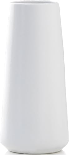 Solid White