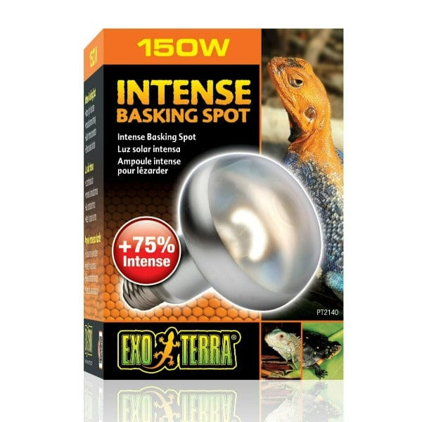 Exo Terra Intense Basking Spot Lamp 100W - Reptile Heat Lamp for Terrariums & Vivariums - Ideal for Bearded Dragons, Turtles & Lizards - Perfect Daytime Heating & Basking Light