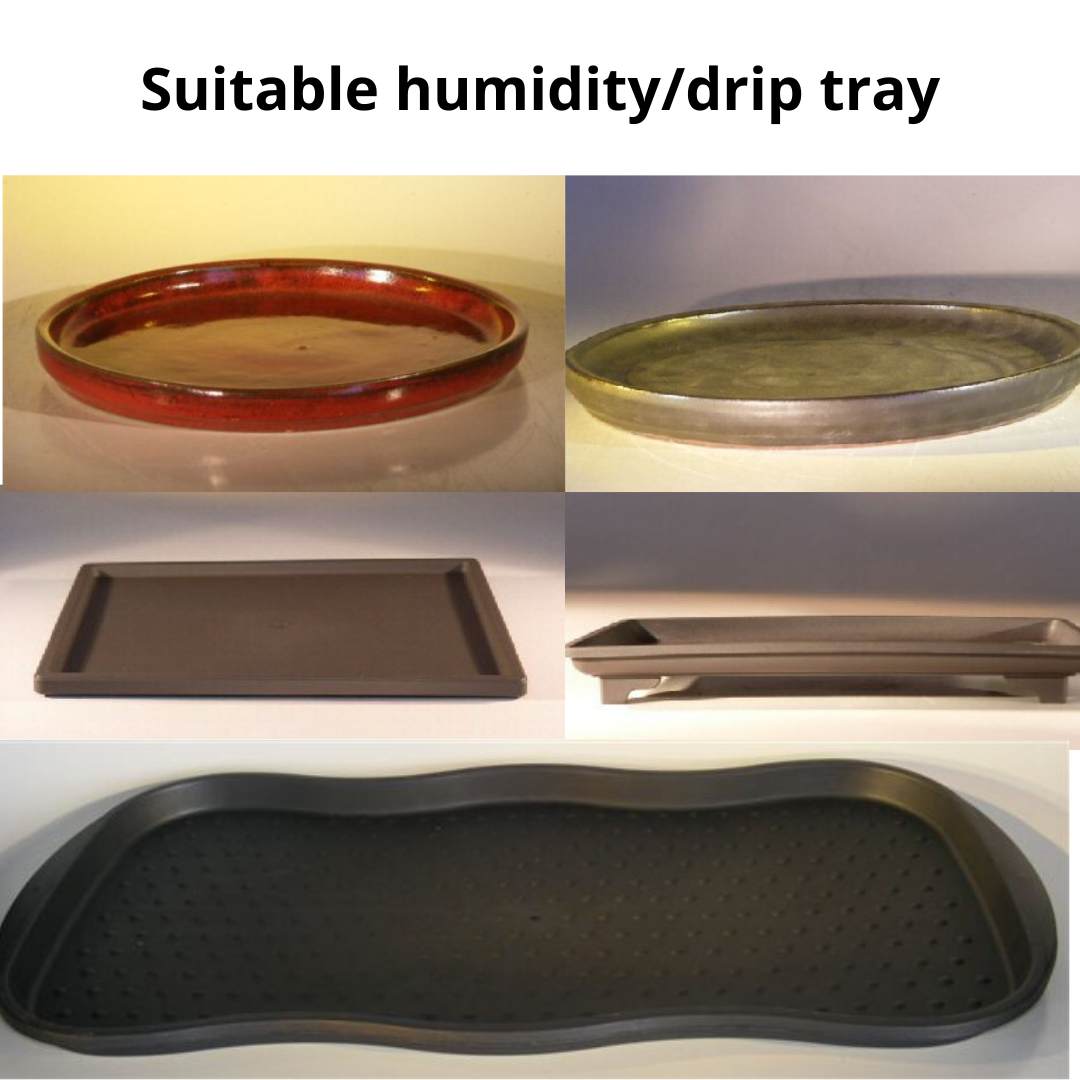 Best Humidity Drip Tray for Plants - Prevent Water Damage & Mold Growth - Perfect for Indoor Gardening, Terrariums & Hydroponics