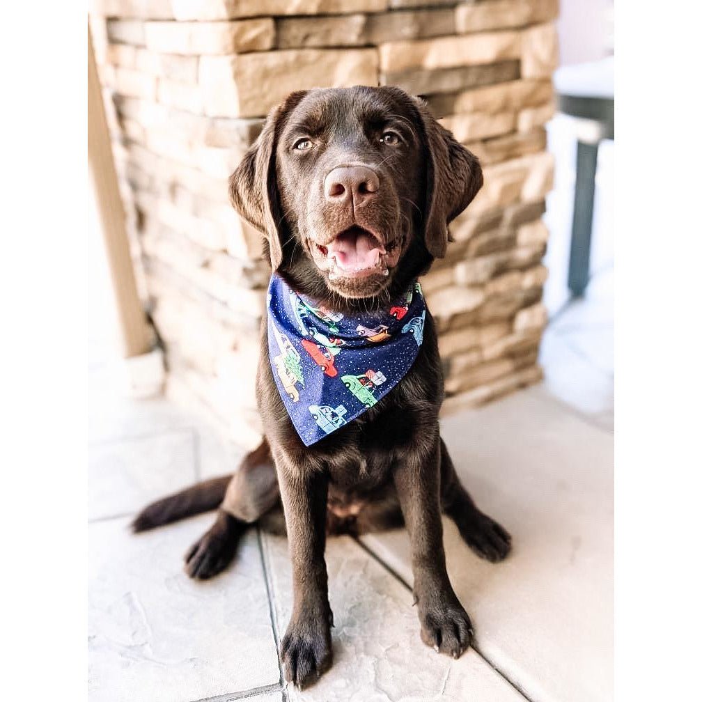 Christmas Dog Bandanas - Festive Holiday Pet Bandanas for Dogs - Perfect for Xmas Photos, Parties & Gifts
