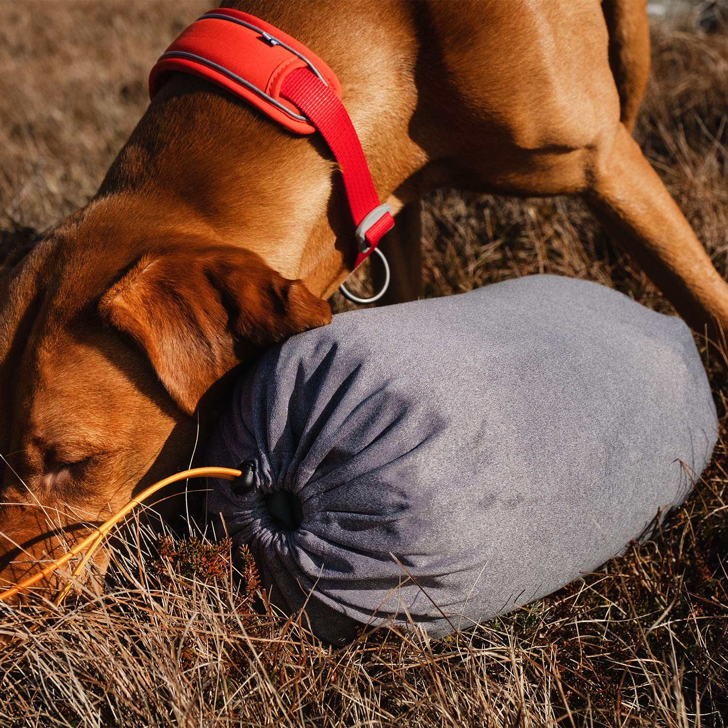 Hurtta Outback Dreamer ECO Dog Sleeping Bag - Lightweight & Waterproof for Camping, Hiking, Travel - Small Size in Hedge Green - Perfect for Outdoor Adventures with Your Pet
