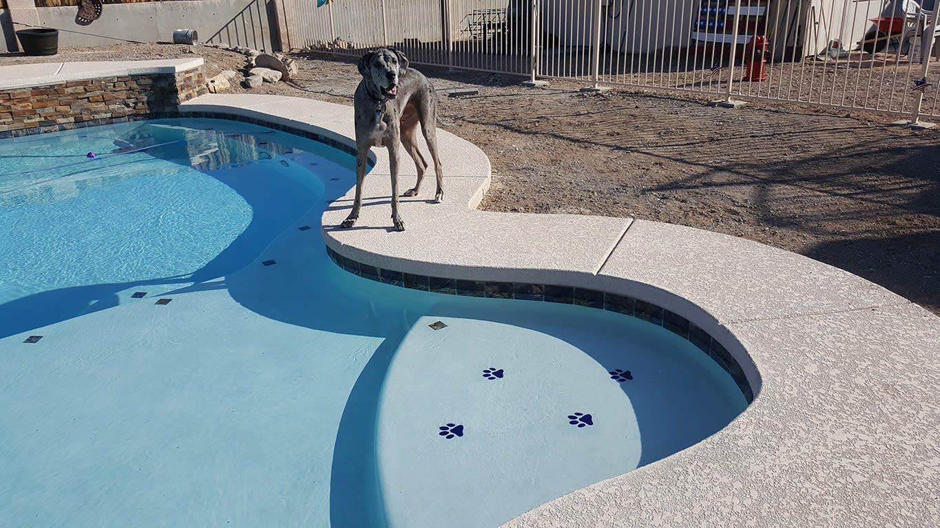 Black Ceramic Swimming Pool Mosaic Tiles (2
