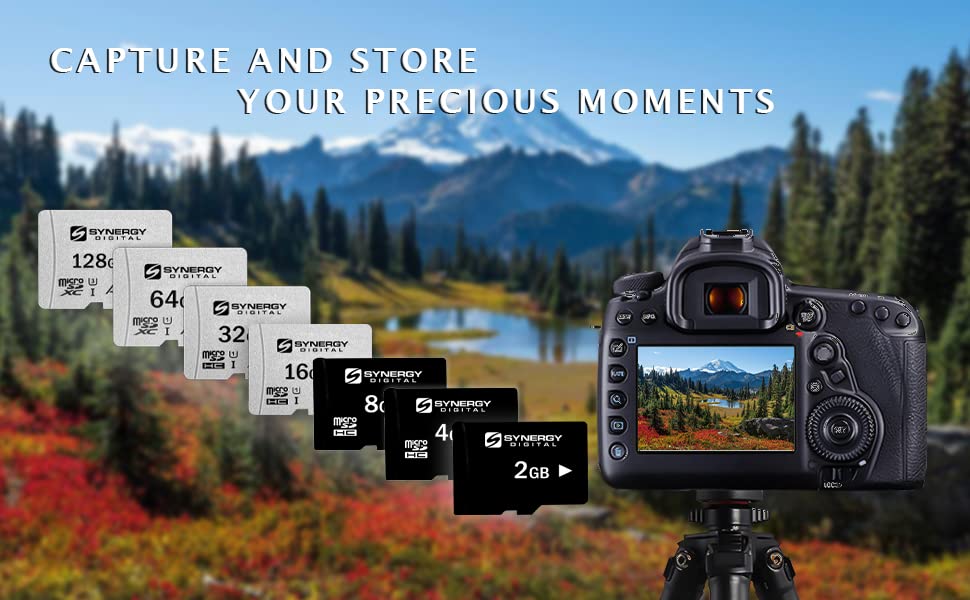 Samsung 2GB microSDHC Card with Adapter for Phones & Cameras