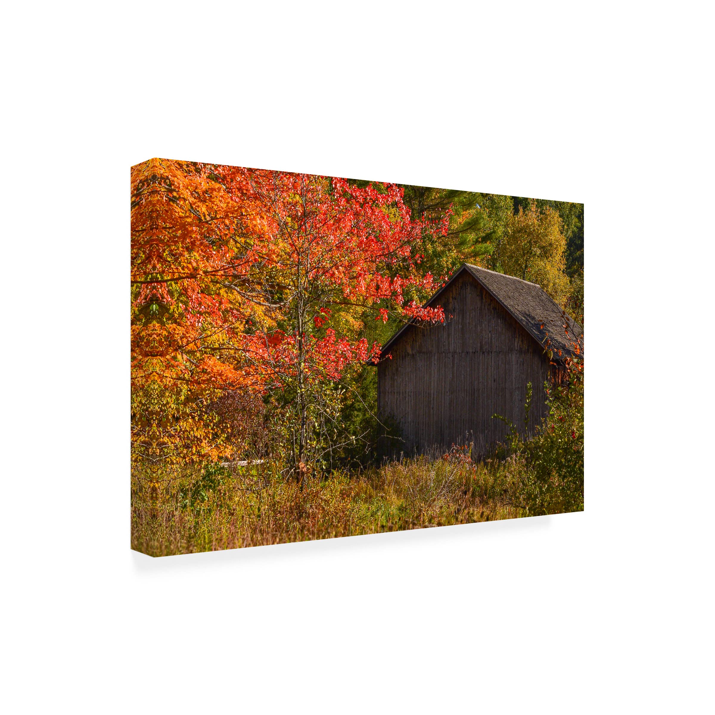 Trademark Fine Art 'Taste of Vermont' Landscape Canvas Print by Brenda Petrella Photography - Perfect for Home & Office Wall Decor