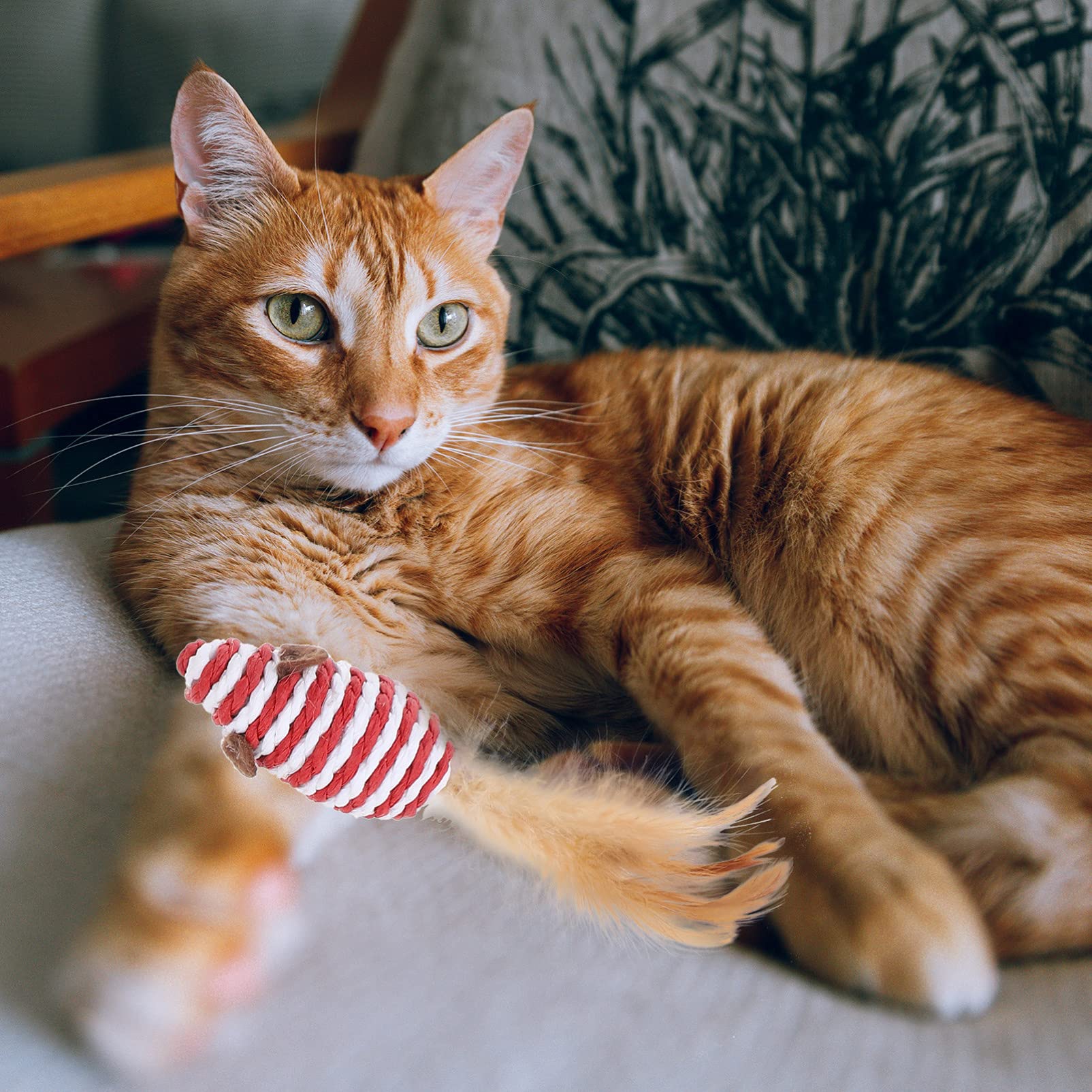 Balacoo Cat Teaser Wand Toy Set - Interactive Kitten Toys with Natural Chew Rope for Indoor Play & Exercise - Perfect for Bonding & Active Playtime with Your Cat
