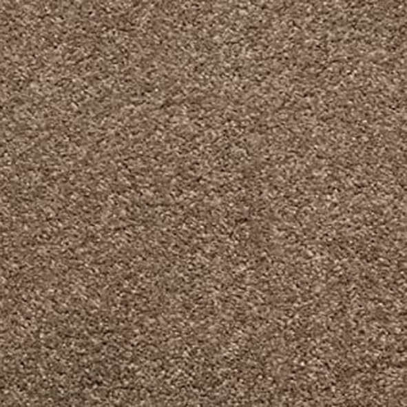 Camel Brown