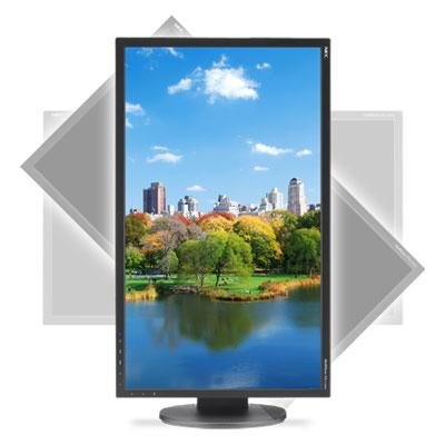 NEC 22 Inch LCD Desktop Monitor with LED Backlight - Ideal for Home Office, Gaming, and Business Use