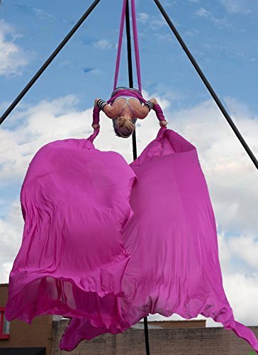 DASKING Premium Aerial Silks Equipment - Professional Safe Deluxe Aerial Yoga Kit for Home & Studio Training - Perfect for Aerial Fitness, Dance and Circus Performance
